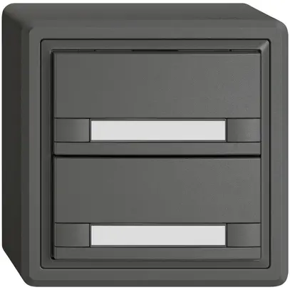 AP-Universaltaster EDIZIO.liv UNI SNAPFIX® o.LED 2× 2-Tbed.Pap.dgu 