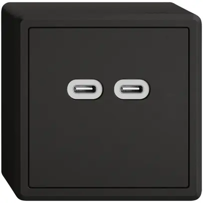 Prise de charge USB AP EDIZIO.liv SNAPFIX® 230VAC 18W 2×USB C no 