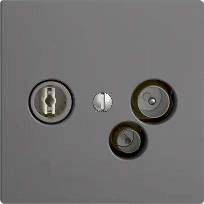 Prise de données TV-R DD11 5…65MHz EDIZIOdue gris foncé 