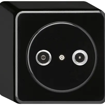 Presa d'antenna AP basico TV-R 4dB 2GHz nero 