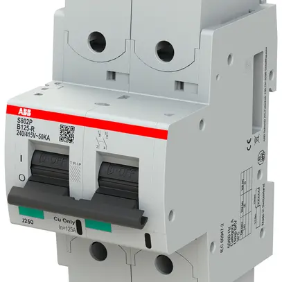 Disjoncteur ABB S802P-B125-R 2P 400V B-125A 50kA 3.5UM 