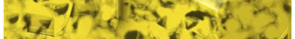 Bloc de distribution PX PTFIX 4/6X1.5-G-FE 