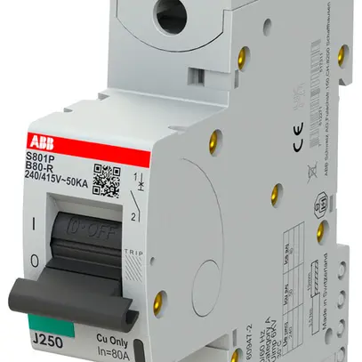Disjoncteur ABB S801P-B80-R 1P 230V B-80A 50kA 1.5UM 