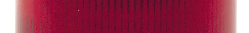 Elemento lampada lampeggiante Schneider Electric 24…48VAC 10W rosso 