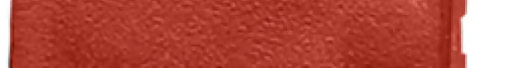 Staubschutzklappe H-LINE M, für Anschlussmodul, rot, 10 Stück 