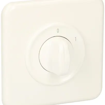 UP-Ausschalter SDUE, 20A, 2P, 90×90mm, 60°, 0-1, weiss 