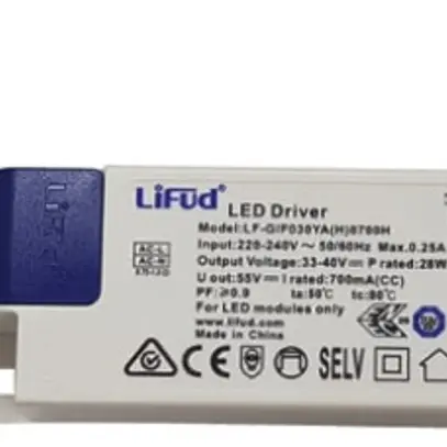 Convertitore LED DOTLUX, 30W, 700mA, 25…42V 