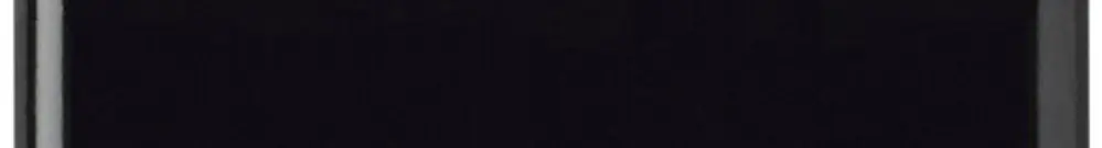 Abdeckplatte basico 2×1 ohne Bohrung schwarz 