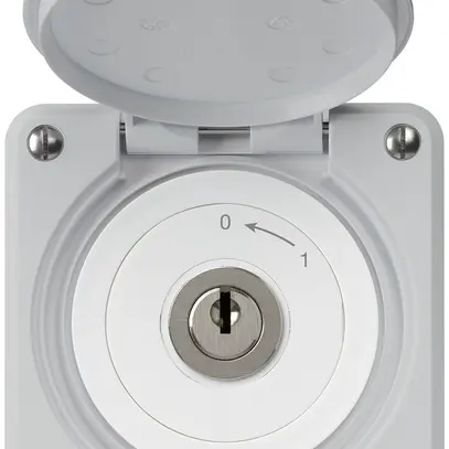 Contatto rotativo a chiave INC robusto IP55 grigio con coperchio 2P 