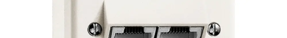Scatola di raccordo INS X 2RJ45 separato, bianco 