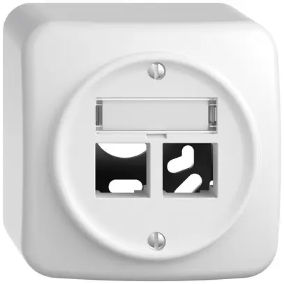 Kit de montage AP STANDARDdue EASYNET S-One SNAPFIX® droit pour 2×RJ45 bc 