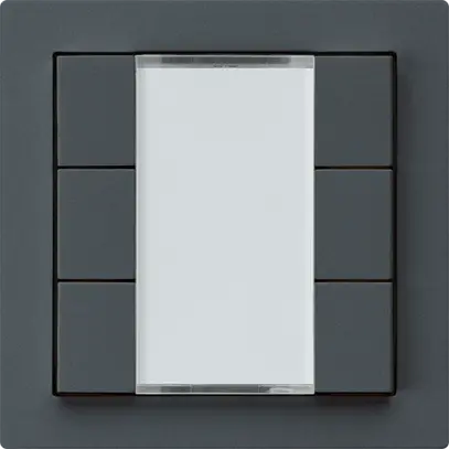 Tasto INC kallysto A KNX 6× s/e-link antracite 