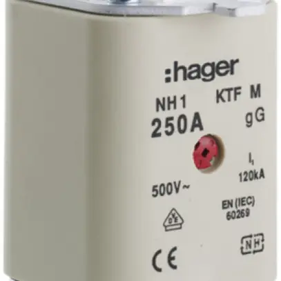 Fusibile HPC Hager DIN1c 500VAC 40A gG/gL segnalatore doppio antiruggine 