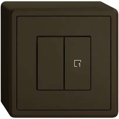 Station sec.interr.AP EDIZIO.liv Wiser SNAPFIX® 1 scène 2 touches WLAN br 