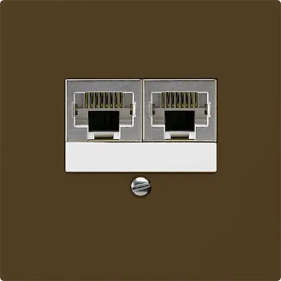 Boîte ENC kallysto 2×RJ45s brun parallèle 