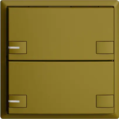 Poussoir ENC KNX 2× EDIZIOdue colore olive RGB avec LED 