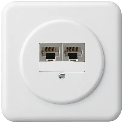 Boîte de raccordement ENC basico 2×RJ45s blanc parallèle 