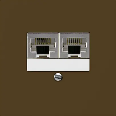 Boîte ENC kallysto 2×RJ45s séparé brun 