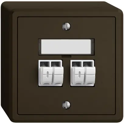 Presa audio AP EDIZIO.liv SNAPFIX® 2× ma 