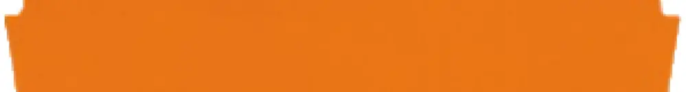 Abschlusswand WAGO TopJob-S orange 3P zu Serie 2002 