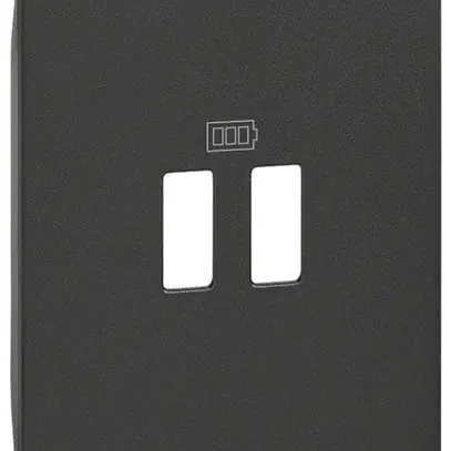 Cache Living Now 2 modules pour prise USB type A noir 