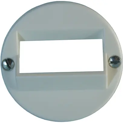 Disque frontal 43/2×RJ45 blanc 