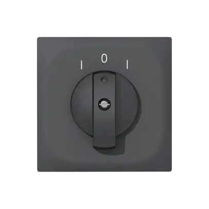 Pulsante rotativo INC SIDUS E 2CL antracite 