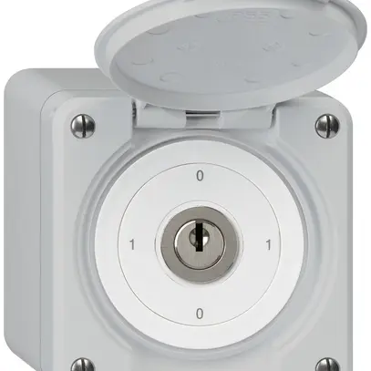 Interrupteur à clé AP robusto IP55 avec clapet S0/1P gris 