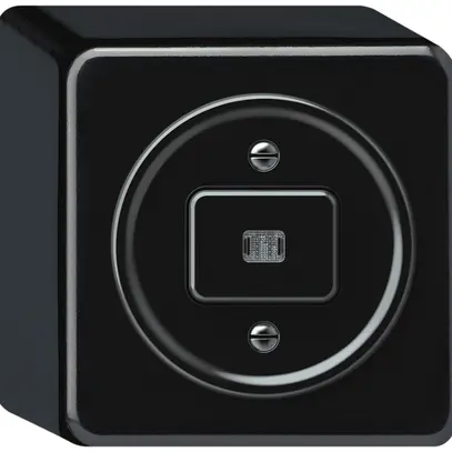 AP-Leuchtdrucktaster origin 1×Taste bel.1CO 1P 0<1 10A 230V 88×88×54mm schwarz 