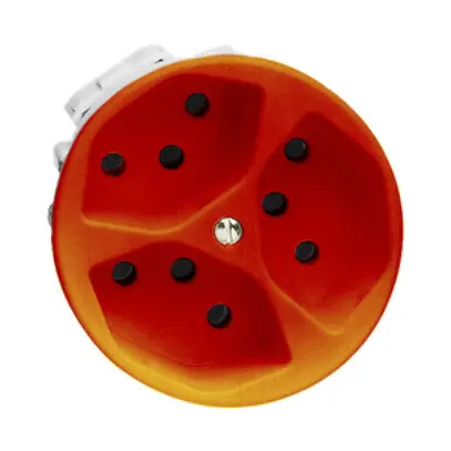 Presa INC FH P 3×T13 arancione 