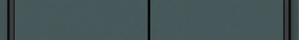 Poussoir KNX KAL 2×touches 4×points actionnables LED anthracite 