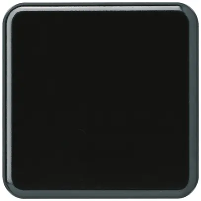 Plaque de recouvrement basico 1×1 sans alésage noir 