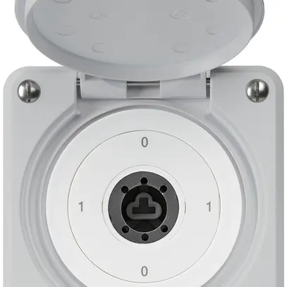 Interruttore a chiave INC robusto IP55 con copertura senza cilindro S0/2P grigio 