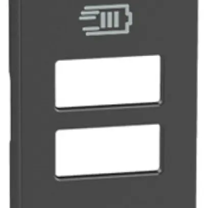 Abdeckung Legrand Living Now 2×USB 22×86×7mm schwarz IP20 