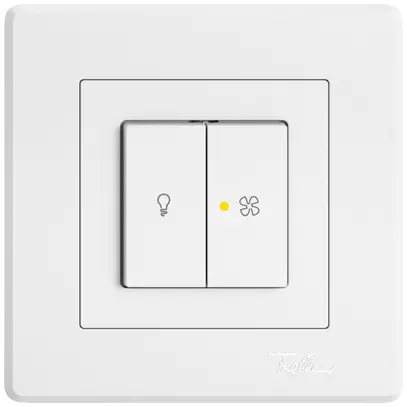 Interrupteur à poussoir lum.ENC EDIZIO.liv SNAPFIX® lum&vent.3/3/1L KS jn bc 