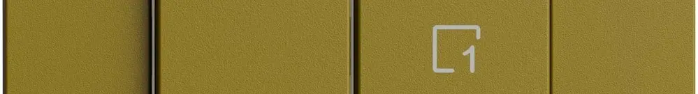 Interruttore 1K/2T scena Edue Wiser olive 