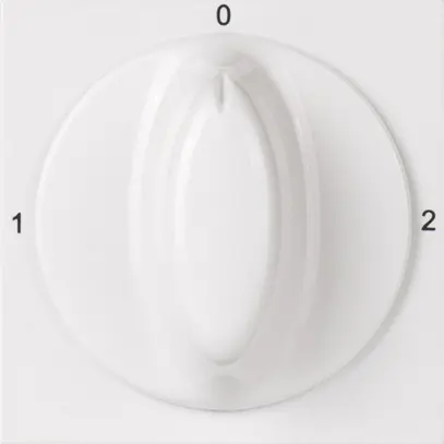 Interruttore rotativo INS ATO 2/2L bianco 