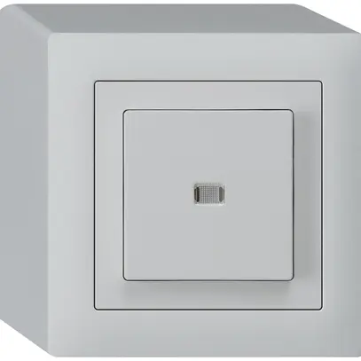 Interrupteur poussoir lumineux AP kallysto 3/1L gris clair 