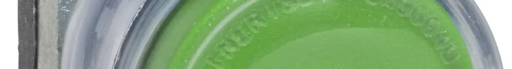 Poussoir INC avec capuchon Schneider Electric 1F vert 