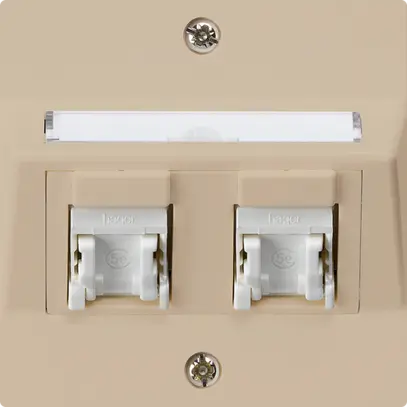 Prise ENC kallysto A cat.5e 2RJ45/u beige 