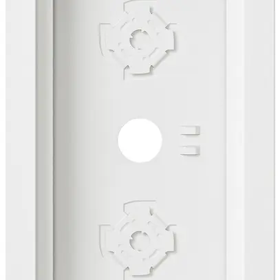 Scatola AP Siedle 2× 132×232×36.5mm bianco 