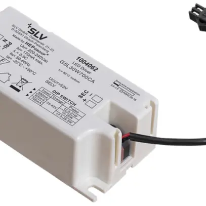 Convertisseur LED SLV pour NUMINOS, 30W 500…700mA, 25…42V 