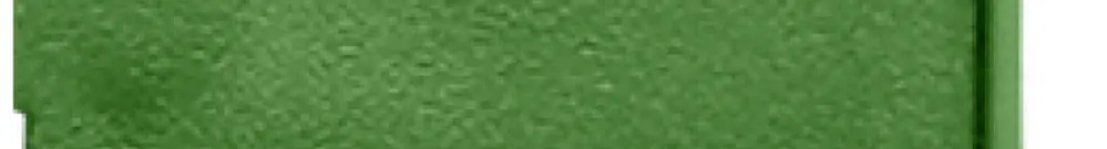 Staubschutzklappe H-LINE M, für Anschlussmodul, grün, 10 Stück 