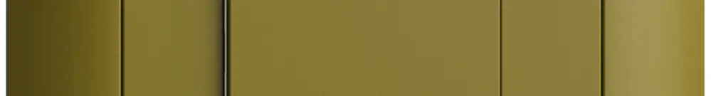 Interruttore INC 1K/1T Edue Wiser olive 