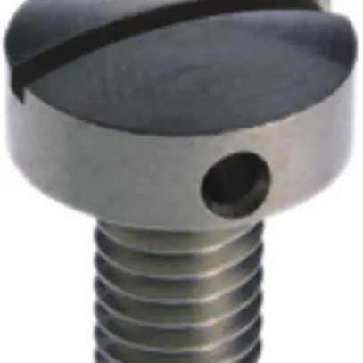 Vite di piombatura Woertz M6×10mm 