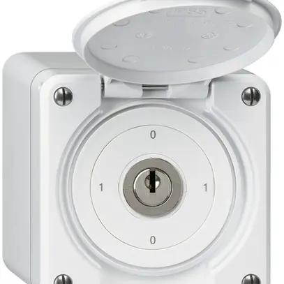 AP-Schlüsselschalter robusto IP55 mit Klappdeckel S0/1P weiss 