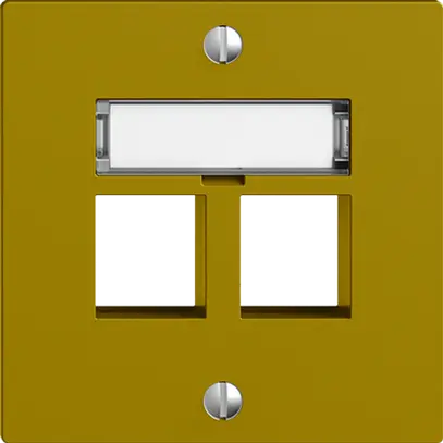 Kit de montage EDIZIOdue F, sortie droite, pour 2×Keystone, olive 