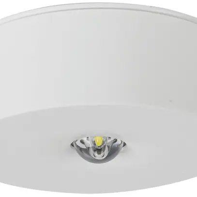 Lampada d'emergenza LED AP AWIL-DR-023-AT-BZS Ø100mm 3.7W 230VAC 3h 240lm 