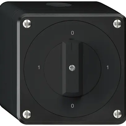 Interrupteur rotatif AP robusto IP55 schéma 0/3P noir 