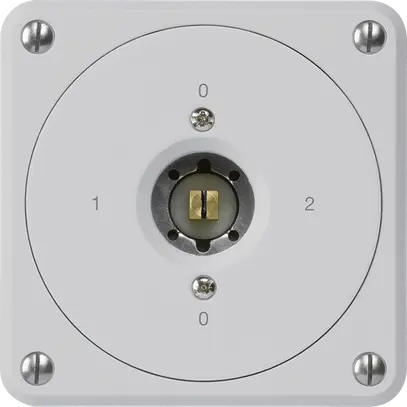 Interruttore a chiave quadrata INC robusto senza coperchio 2/1P grigio combi 
